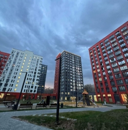 Продажа студии Лобановский Лес улица, д. 11 Продажа студии Лобановский Лес улица, д. 11