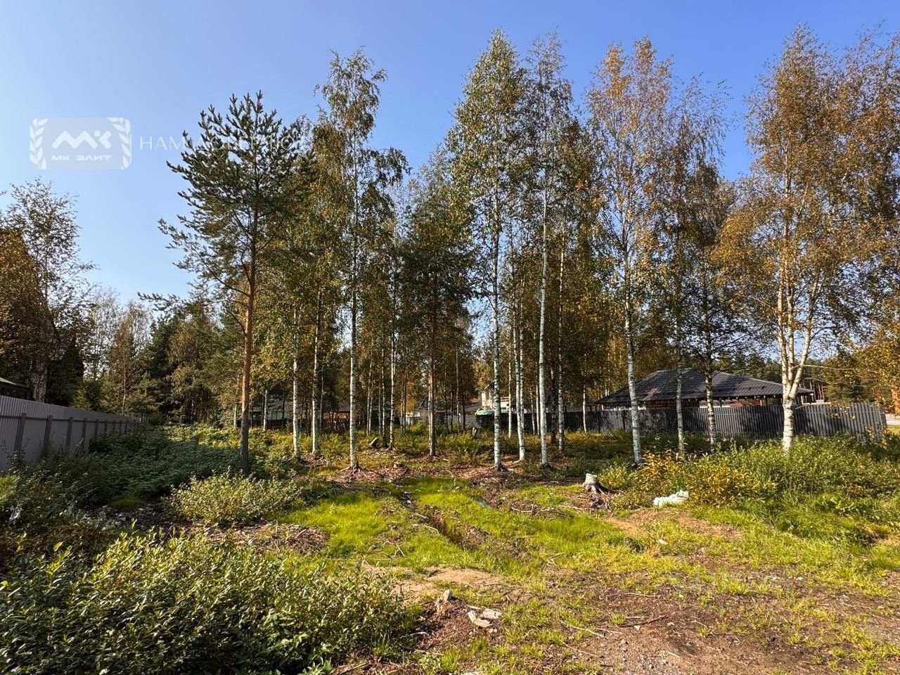 Продажа земли Охтинский парк кп, д. Энколово, улица Левашова