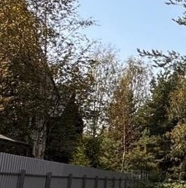 Продажа земли Охтинский парк кп, д. Энколово, улица Левашова Продажа земли Охтинский парк кп, д. Энколово, улица Левашова