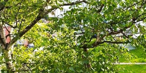 1-комн квартира Брюсовская улица, 6