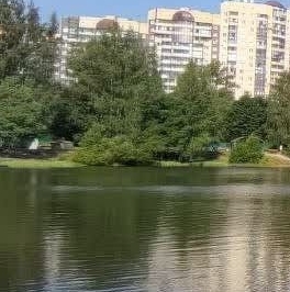 Продажа 1-комн квартиры на вторичном рынке д. Новое Девяткино, улица Капральская, 15 Продажа 1-комн квартиры на вторичном рынке д. Новое Девяткино, улица Капральская, 15