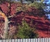 Продать Земельные участки, земля пос. Первомайское, Первомайское СНТ, улица Рябиновая  5 