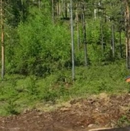 Продажа дома Коттеджный поселок Агалатово экопарк,  д. 18