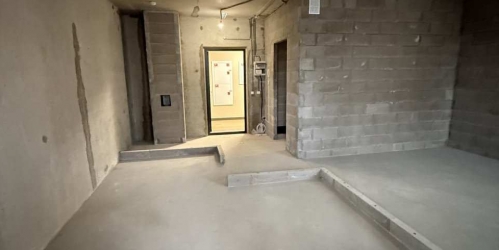 1-комн квартира Коломяжский просп.,  д. 13,  к. 3