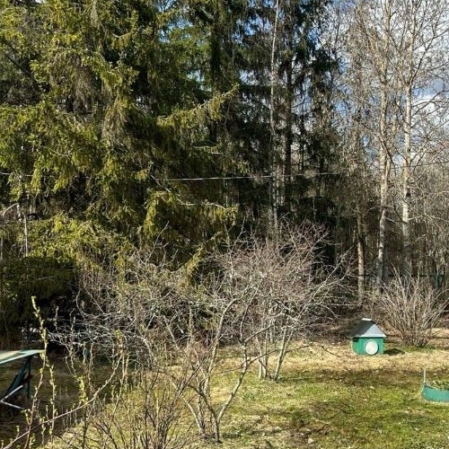 Коттедж/дом Свет СНТ