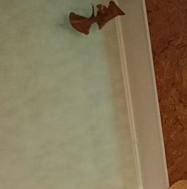 Продажа 3-комн квартиры на вторичном рынке проспект Космонавтов, 18К1