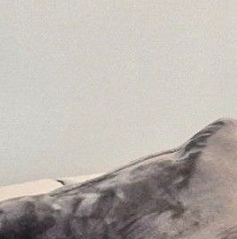 Аренда 1-комн квартиры на вторичном рынке Котельники, Новая улица, 3 Аренда 1-комн квартиры на вторичном рынке Котельники, Новая улица, 3