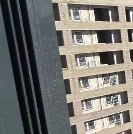 Аренда студии д. Новосаратовка, улица Первых, 4к3 Аренда студии д. Новосаратовка, улица Первых, 4к3