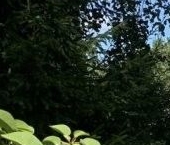 Продать Дачи, коттеджи, загородные дома Ухта садоводческий массив   