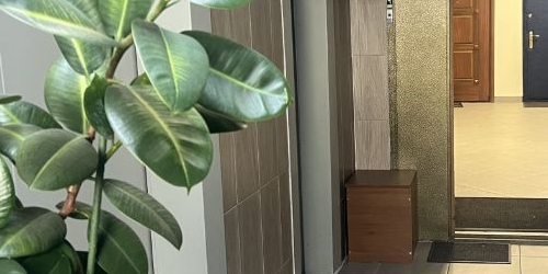 2-комн квартира улица Москворечье, 31к1