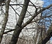 Продать Комнаты в квартирах улица Стойкости, 38К1   