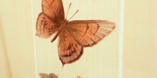 1-комн квартира Малая Десятинная улица, 11