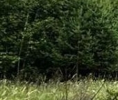 Продать Земельные участки, земля Ульяновка пгт, улица Новая   