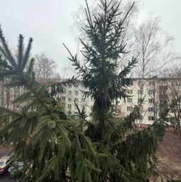 Продажа 2-комн квартиры на вторичном рынке Солнечногорск, Банковская улица,  д. 28
