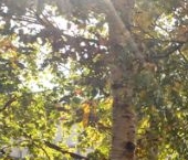 Продать Квартиры вторичка Школьная улица, 126к1   