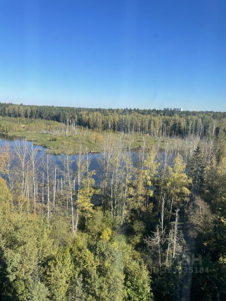 Продажа 2-комн квартиры на вторичном рынке Школьный мкр, д. Брехово,  д. к5