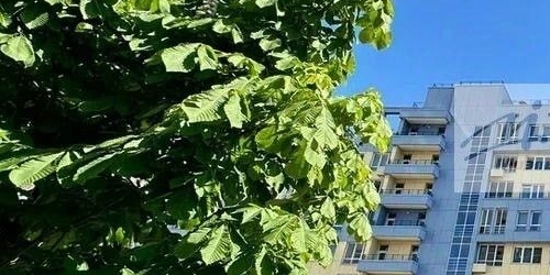 2-комн квартира Карамышевская набережная, 2А