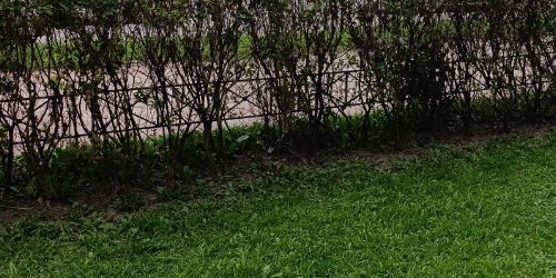 Студия проспект Ветеранов, 171к5