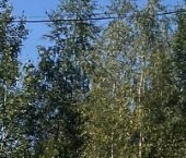 Продать Дачи, коттеджи, загородные дома Лесная Поляна СНТ, 197   