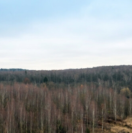 Продажа 1-комн квартиры на вторичном рынке Андерсена ул,  д. 2