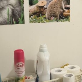 Продажа 1-комн квартиры на вторичном рынке улица Молодцова, 31К2 Продажа 1-комн квартиры на вторичном рынке улица Молодцова, 31К2