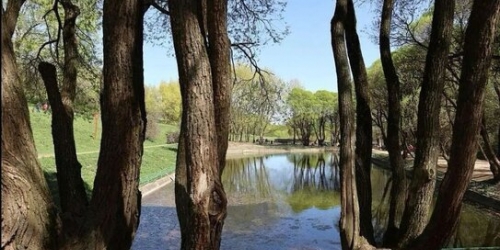 2-комн квартира улица Новинки,  д. 9