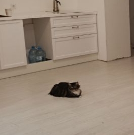 Аренда 1-комн квартиры на вторичном рынке Город-событие мкр, с. Лайково, 64