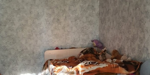 Комната Стрельна г., Попова ул. ,  д. 4