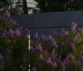 Продать Дачи, коттеджи, загородные дома Ветви.Репино кп, пос. Ленинское   