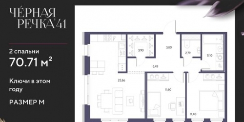 2-комн квартира наб Чёрной речки,  д. 31