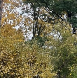 Продажа 2-комн квартиры на вторичном рынке Пушкино, Октябрьская улица, 2