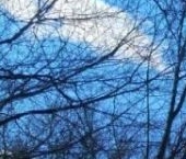 Продать Квартиры вторичка Ломоносовский проспект, 7К5   