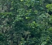 Продать Квартиры вторичка Бассейная улица, 45   