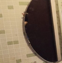 Аренда 1-комн квартиры на вторичном рынке Жуковский, улица Чаплыгина, 32