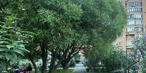 2-комн квартира Зеленодольская улица, 36К2