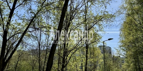 2-комн квартира Придорожная аллея,  д. 5