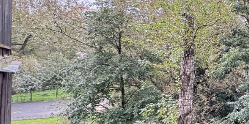 1-комн квартира Альпийский переулок, 2