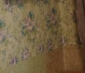 Сдать в аренду Комнаты в квартирах улица Асафьева, 9К1   