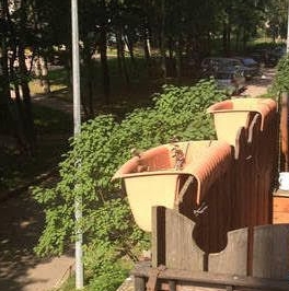 Аренда комнаты улица Верности, 10К4 Аренда комнаты улица Верности, 10К4