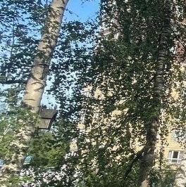 Продажа 3-комн квартиры на вторичном рынке Мытищи, Пионерская улица, 3А Продажа 3-комн квартиры на вторичном рынке Мытищи, Пионерская улица, 3А