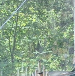 Продажа дома пос. Репино, Финляндская улица, 10