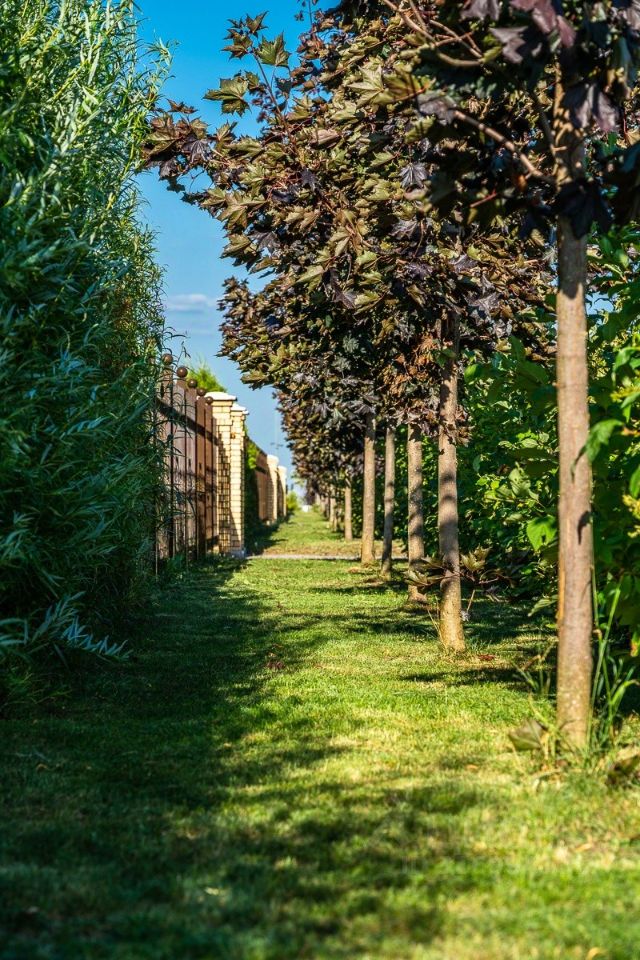 Продажа земли Онегин Парк кп, д. Глинка