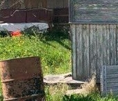 Продать Дачи, коттеджи, загородные дома Трубников Бор садоводческий массив, Электрик СНТ  96 