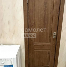 Продажа 1-комн квартиры на вторичном рынке Московский г, Бианки ул,  д. 5 к1