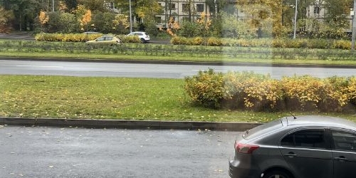 Комната Светлановский проспект, 52