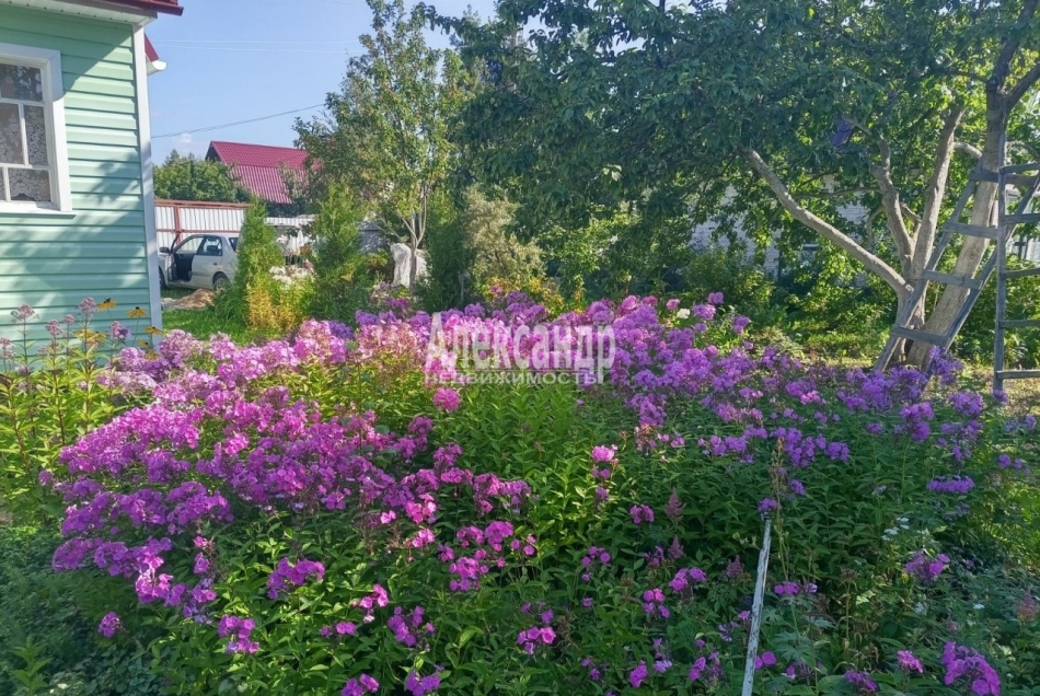 Продажа дома Новинка массив