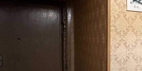 1-комн квартира проспект Тореза, 40К3