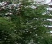 Продать Квартиры вторичка проезд Черепановых, 36   