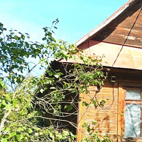 Коттедж/дом Пупышево садоводческий массив, Природа СНТ, аллея 2-я