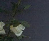 Продать Квартиры вторичка Киевская улица, 5к6   